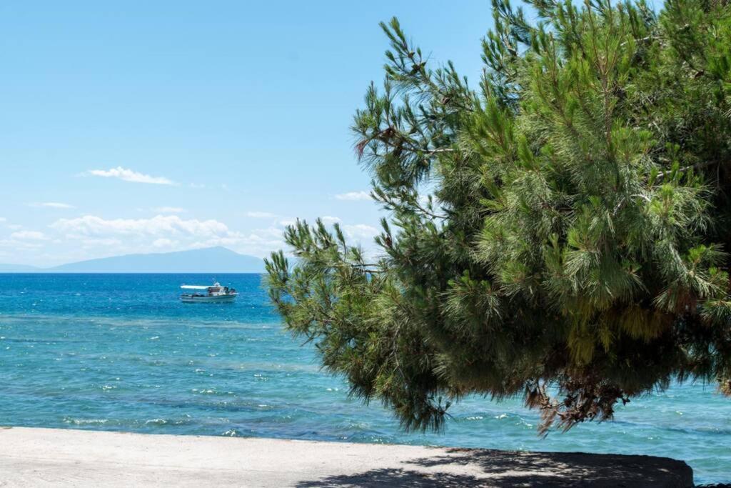 Endless Sea View House Villa Nea Iraklia Buitenkant foto